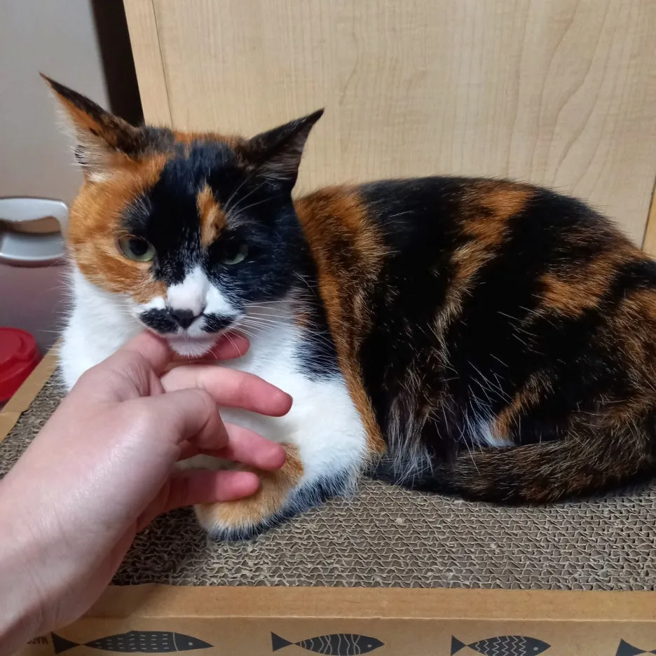 KakaoTalk_20250605_165613423.jpg?type=w1