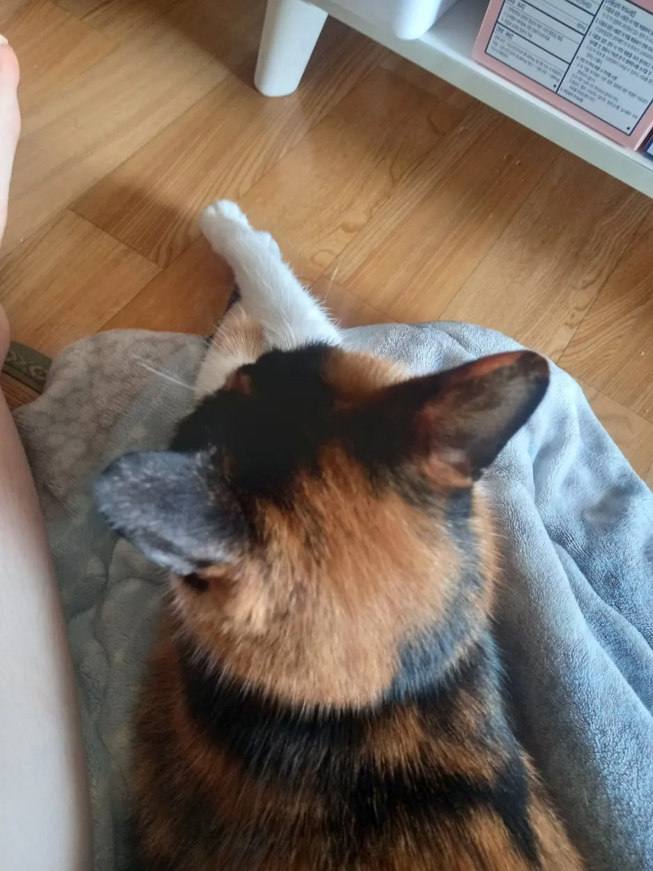 KakaoTalk_20250617_160956899_03.jpg?type=w1