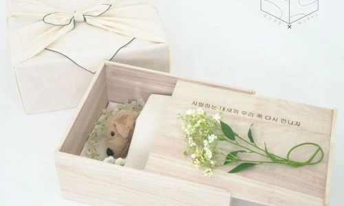 ?src=%22https%3A%2F%2Fshop-phinf.pstatic.net%2F20240514_131%2F1715667054711p4axW_JPEG%2F116802943420937828_603252414.jpg%3Ftype%3Do1000%22&type=ff500_300