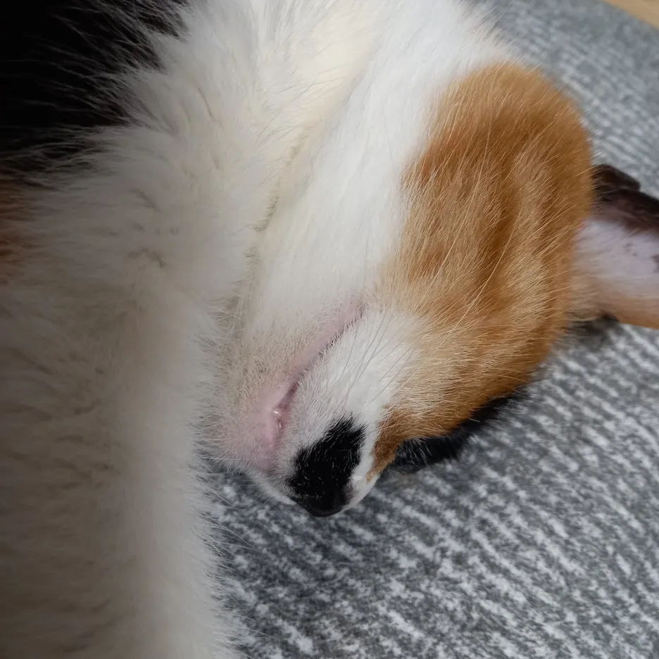 KakaoTalk_20250530_211513163_03.jpg?type=w1