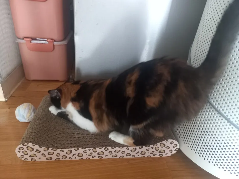 KakaoTalk_20250529_222646057_01.jpg?type=w1