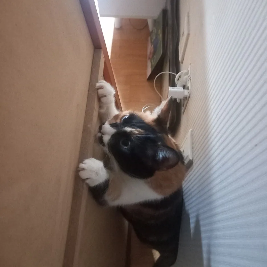 KakaoTalk_20250528_225916653_01.jpg?type=w1