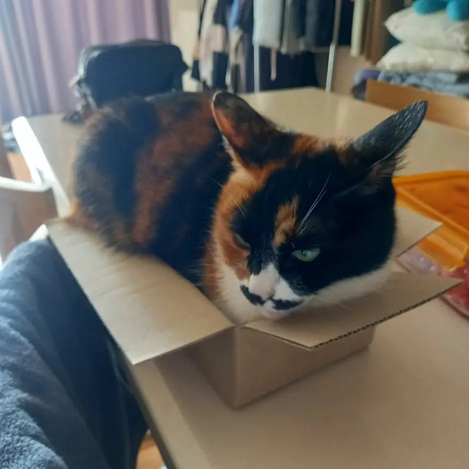 KakaoTalk_20250626_145637427_01.jpg?type=w1