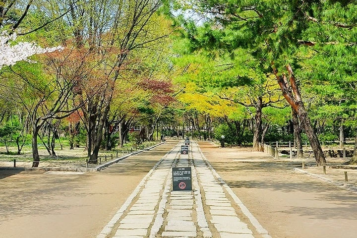 01._%EC%8B%A0%EB%A1%9C_%EB%B4%84.jpg?type=w800