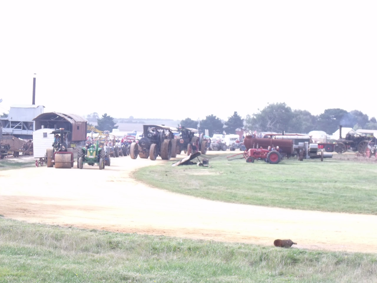 2010_0502steamrally0107.JPG