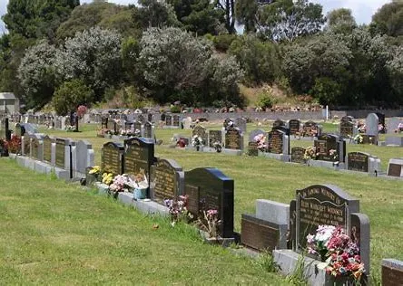 OIP.M8LbGGB276Fk75p04BZFdAHaE8?w=253&h=180&c=7&r=0&o=5&dpr=1.8&pid=1.7