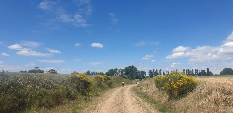 KakaoTalk_20220601_002111431_08.jpg?type=w1