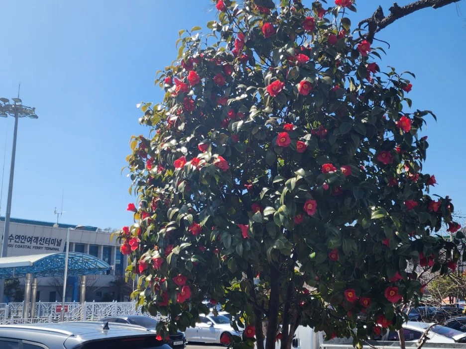 KakaoTalk_20230314_052532367_16.jpg?type=w1