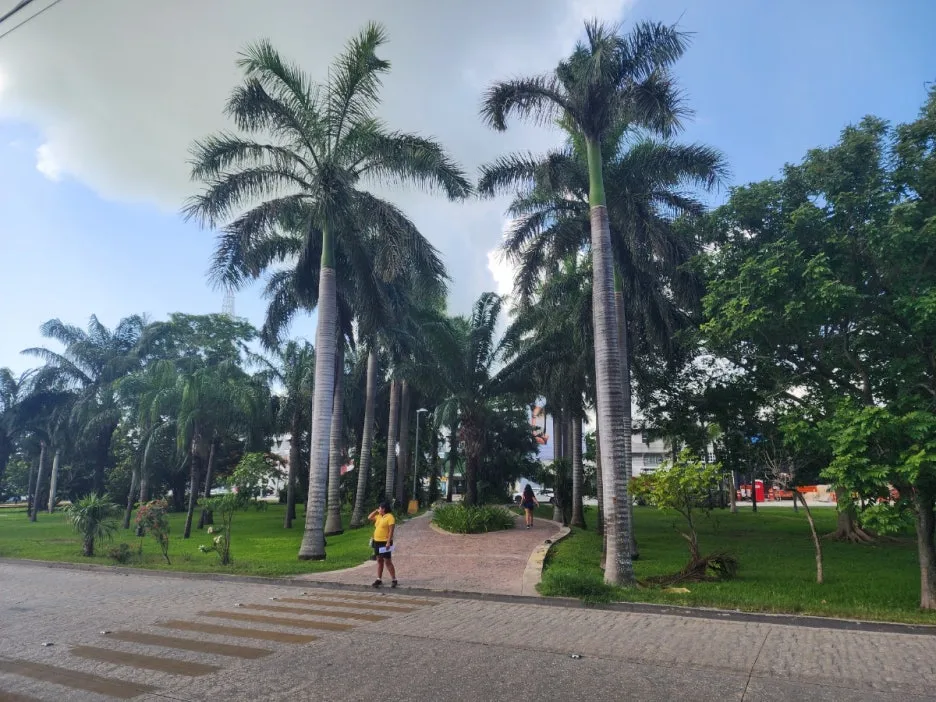 KakaoTalk_20240823_045131792_06.jpg?type=w1