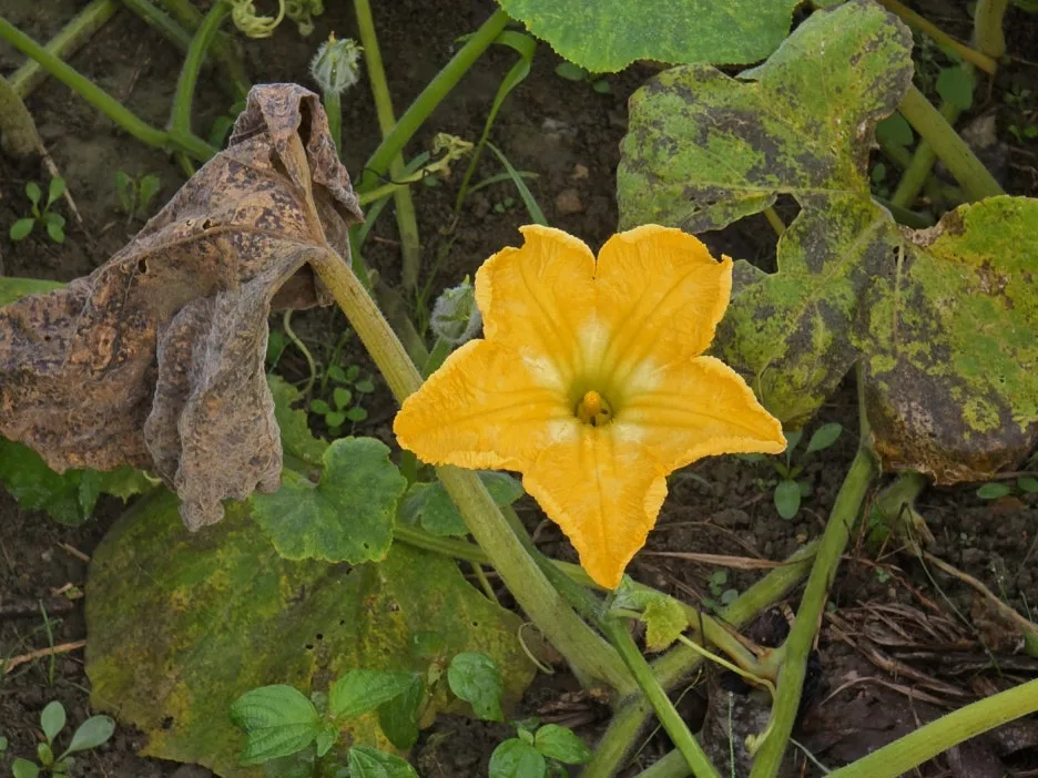 KakaoTalk_20241023_023745528_02.jpg?type=w1