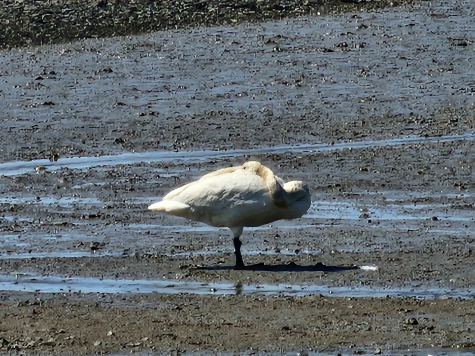 KakaoTalk_20230329_013641422_11.jpg?type=w1