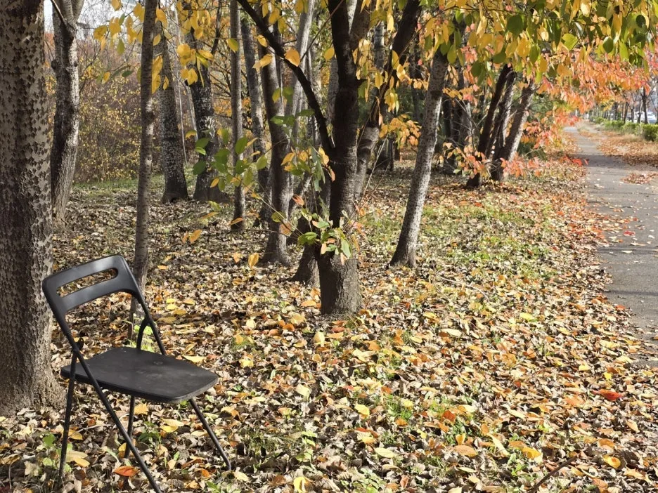 KakaoTalk_20241120_031352450_16.jpg?type=w1