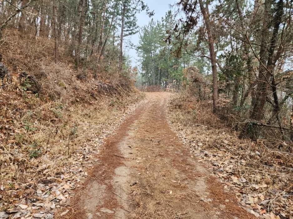 KakaoTalk_20230219_054911575_17.jpg?type=w1