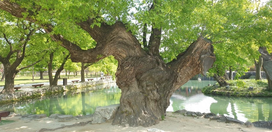 20210420_105724.jpg?type=w1