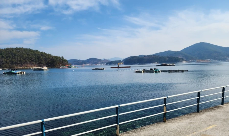 SE-6207100b-732a-48b9-aa32-7039184aafe5.jpg?type=w1