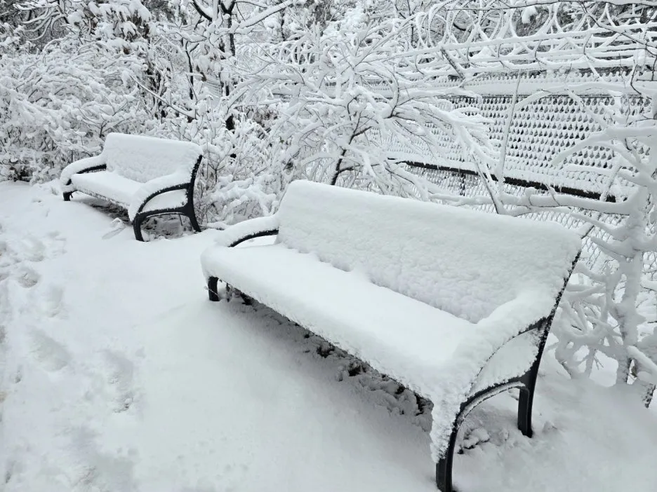 KakaoTalk_20241129_050938052_17.jpg?type=w1