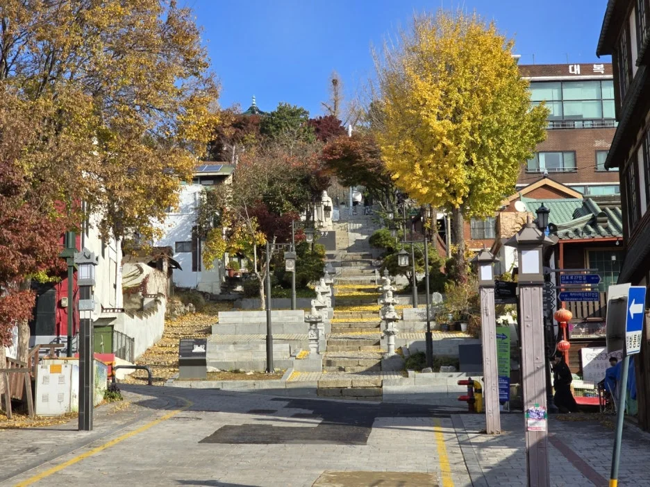 KakaoTalk_20241129_040156939.jpg?type=w1