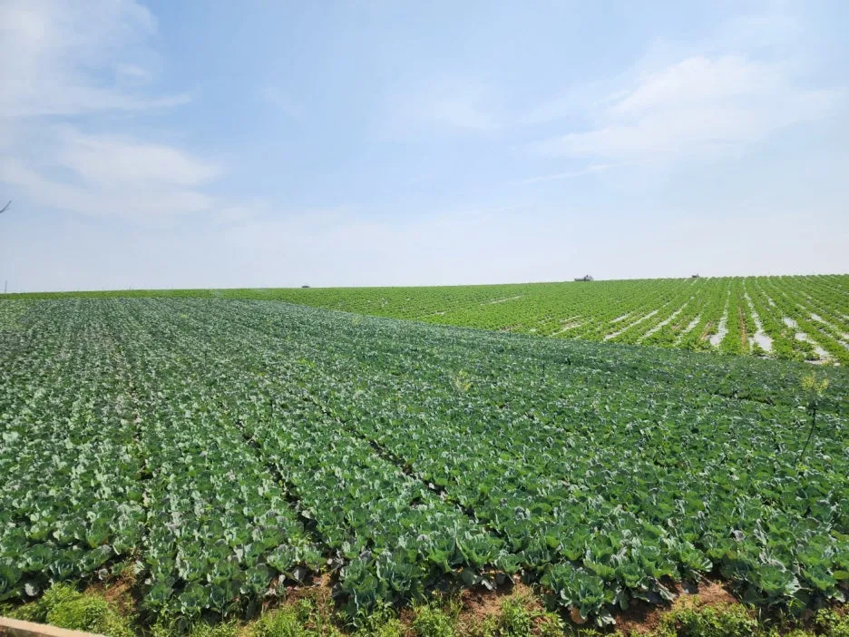 KakaoTalk_20240523_180548992_24.jpg?type=w1