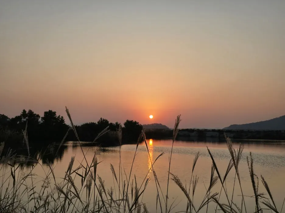 KakaoTalk_20241112_044854649_05.jpg?type=w1