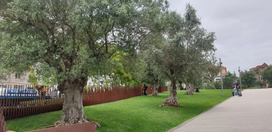 KakaoTalk_20220624_025722235_05.jpg?type=w1