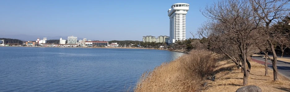 SE-9f69ce0c-8988-4e29-823e-13756a45eadb.jpg?type=w1