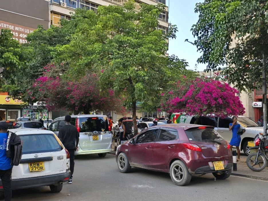 KakaoTalk_20250328_023001721_17.jpg?type=w1