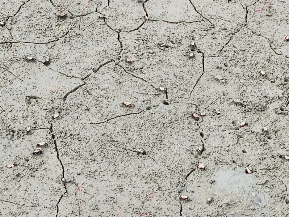 KakaoTalk_20240526_220649914_09.jpg?type=w1