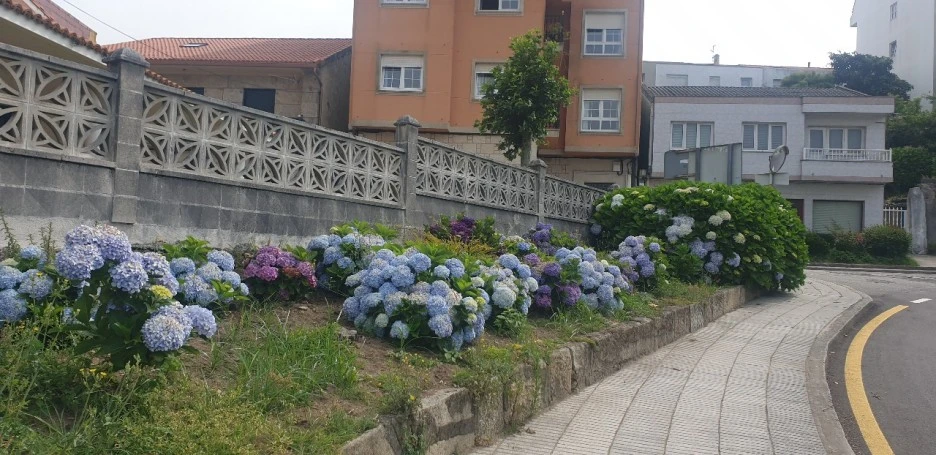 KakaoTalk_20220621_024759802_09.jpg?type=w1