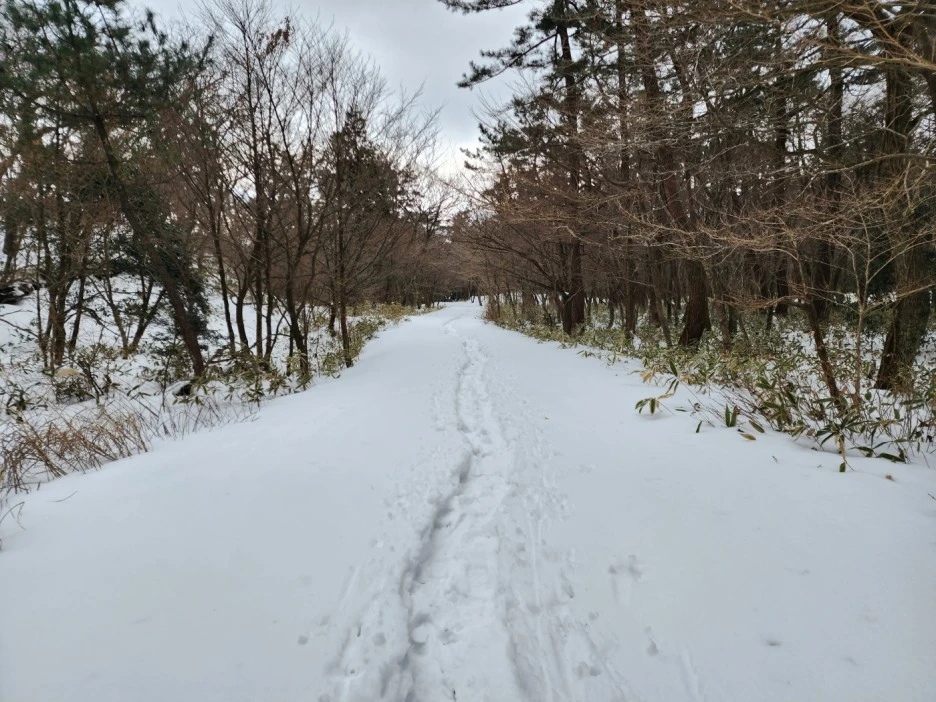 KakaoTalk_20230105_062519860_11.jpg?type=w1