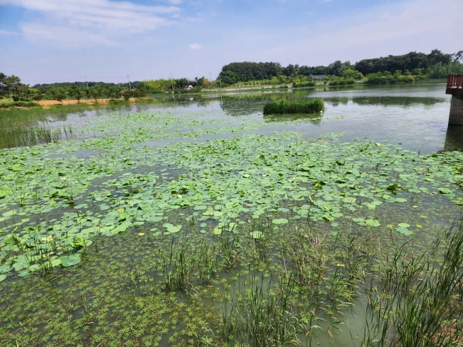 KakaoTalk_20240607_201223809_23.jpg?type=w1