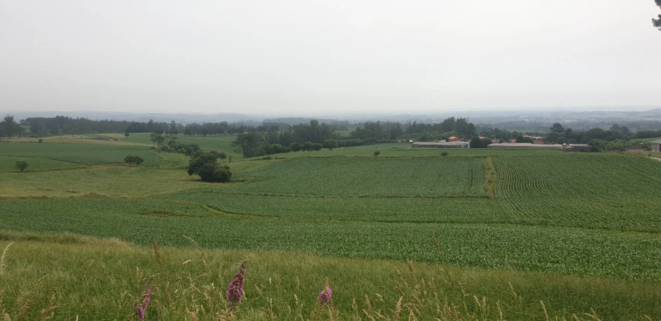 KakaoTalk_20220621_021007134_03.jpg?type=w1