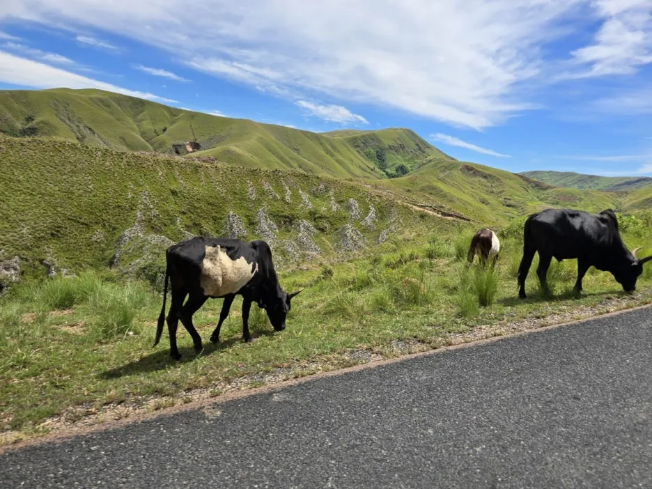 KakaoTalk_20250312_112227349_05.jpg?type=w1