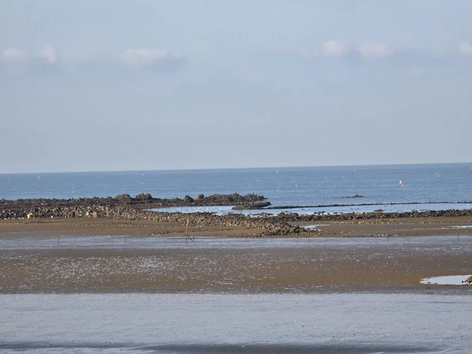 KakaoTalk_20241101_225213180_03.jpg?type=w1