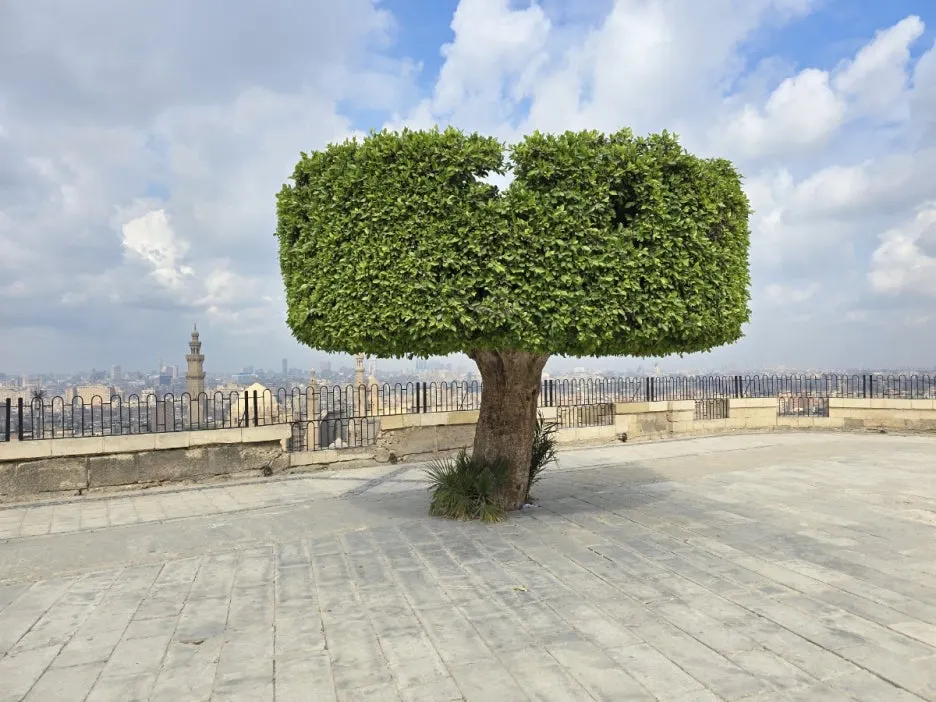 KakaoTalk_20250221_164144773_03.jpg?type=w1