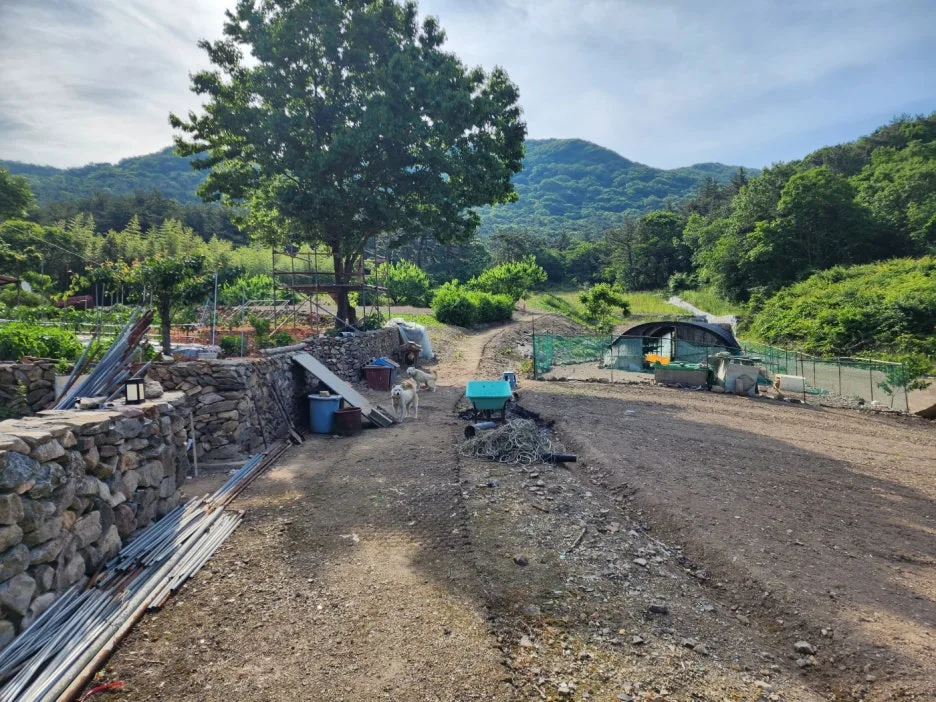 KakaoTalk_20240602_164520524_06.jpg?type=w1