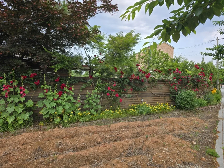 KakaoTalk_20250611_013419259_03.jpg?type=w1