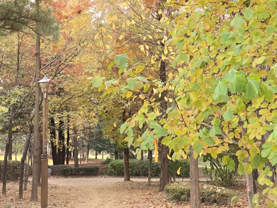 KakaoTalk_20241126_043530012_03.jpg?type=w1