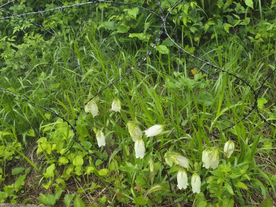 KakaoTalk_20250622_033302012_10.jpg?type=w1