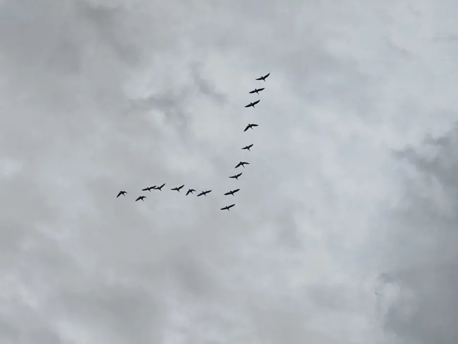 KakaoTalk_20241016_042214358_09.jpg?type=w1