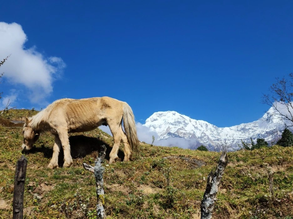 KakaoTalk_20221117_072939349_09.jpg?type=w1