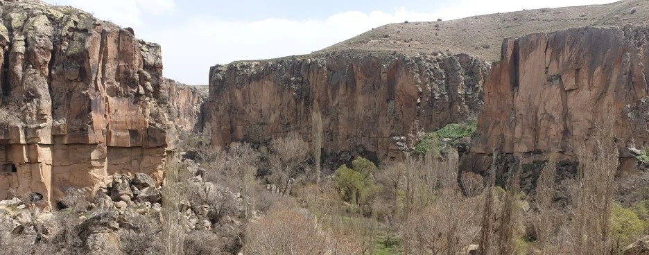 SE-e88313e1-a822-4a79-a74e-7eea446ae36d.jpg?type=w1