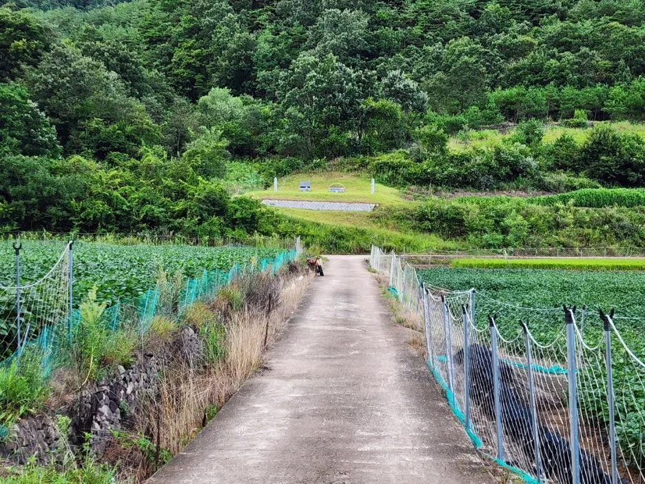 KakaoTalk_20240829_172128613_02.jpg?type=w1