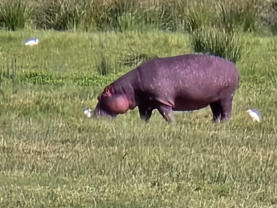 KakaoTalk_20250405_153555823_22.jpg?type=w1