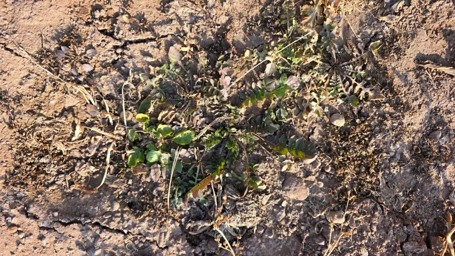 SE-3197f94c-da7a-40c4-9d3e-0358946f0003.jpg?type=w1