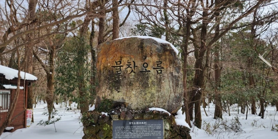 SE-4ad50adc-65da-4963-a2ea-a8eb7529d15d.jpg?type=w1