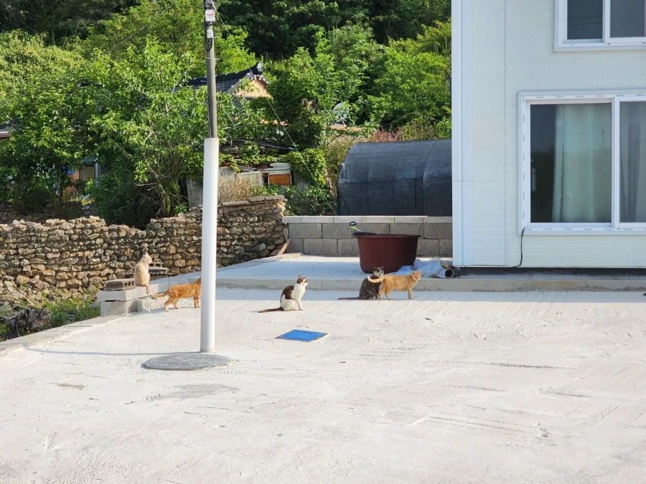 KakaoTalk_20240525_165017986_08.jpg?type=w1