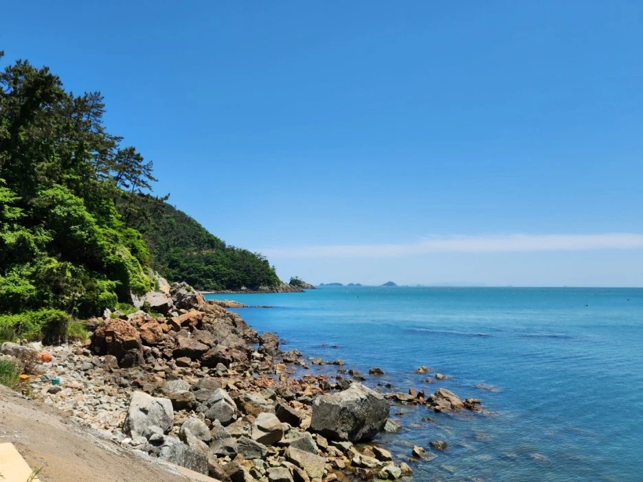 KakaoTalk_20240513_210116338_23.jpg?type=w1