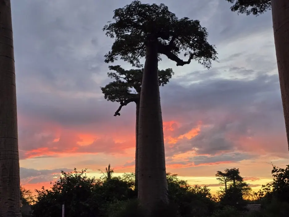 KakaoTalk_20250313_021335192_23.jpg?type=w1