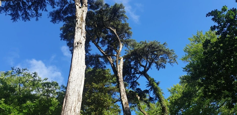 KakaoTalk_20220626_223607818_02.jpg?type=w1