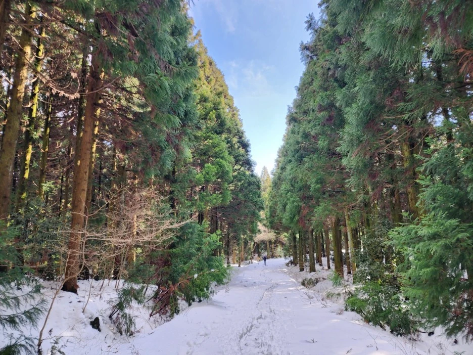 KakaoTalk_20230105_065612131.jpg?type=w1